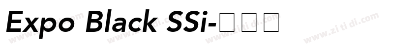 Expo Black SSi字体转换